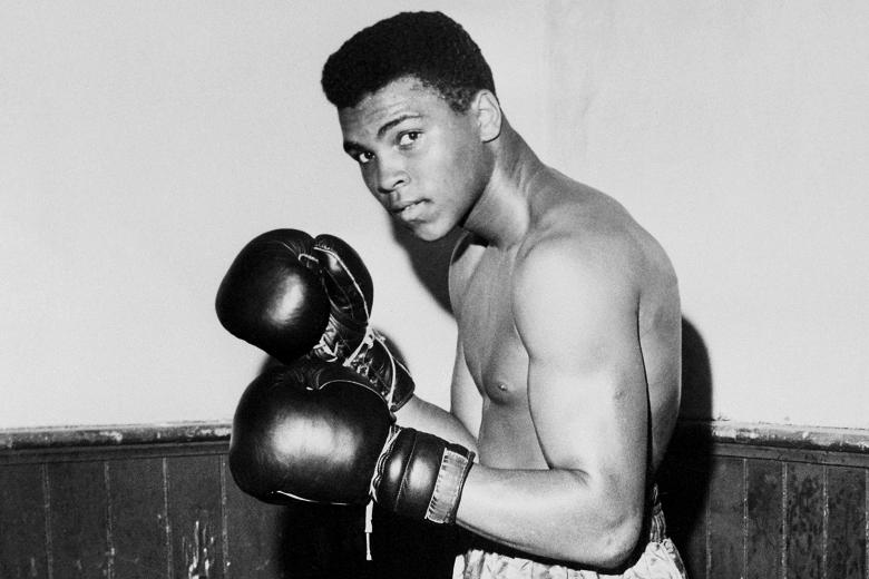 Muhammad Ali Career Memorabilia 