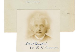 Albert Einstein's Passport Photo