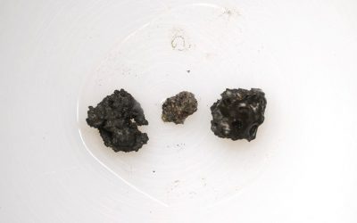 The three tiny moon rocks sold for a huge $855,000