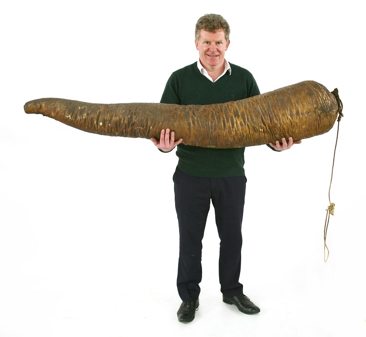 A 19th century stuffed sperm whale's penis 