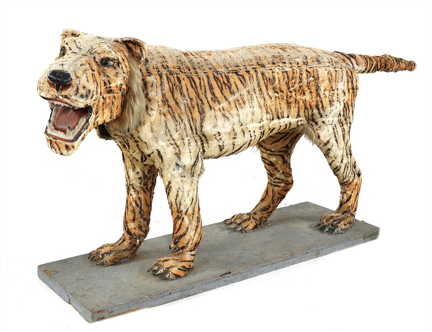 Life-size Tiger automaton