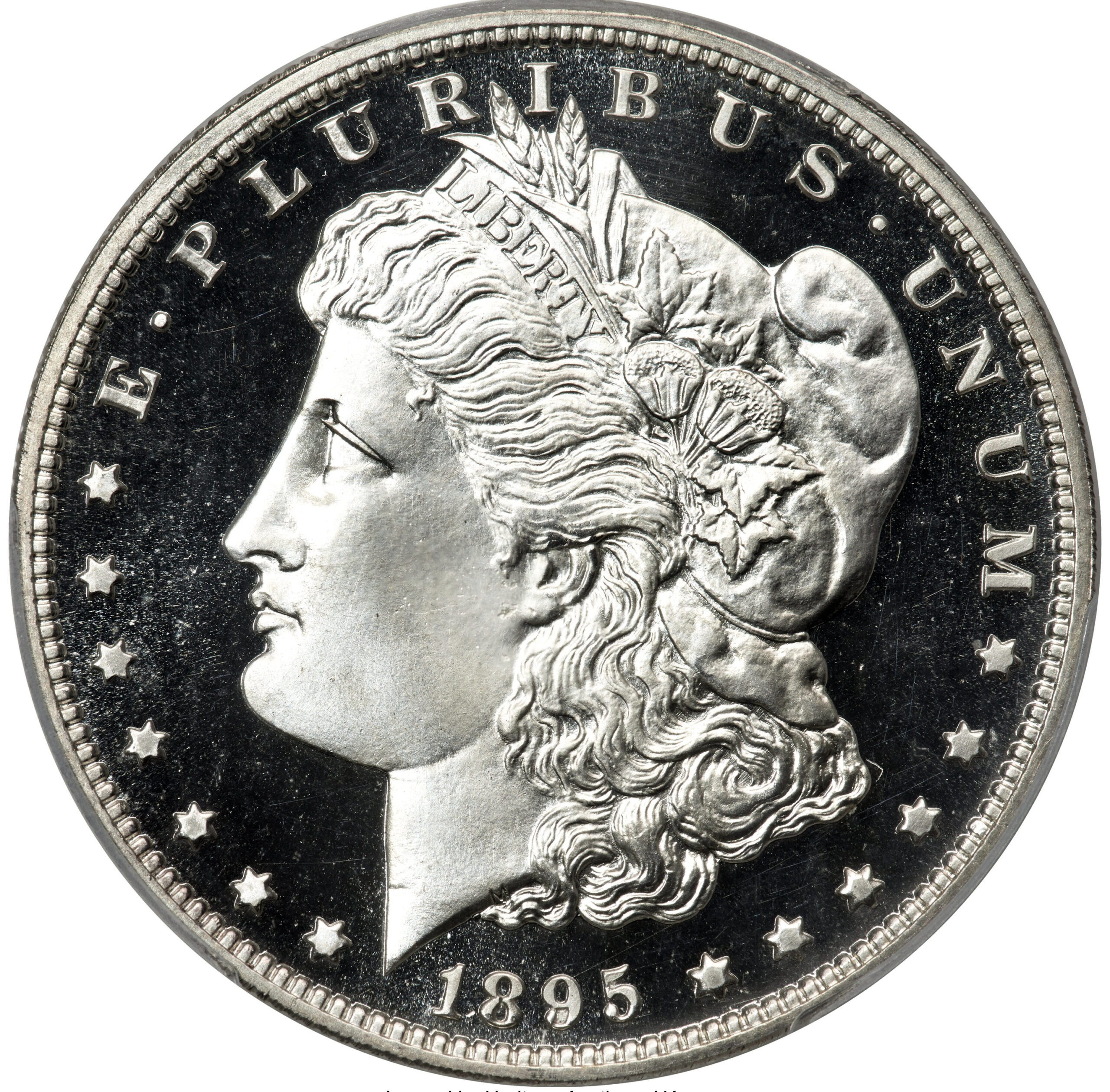 1895 Morgan Dollar Proof