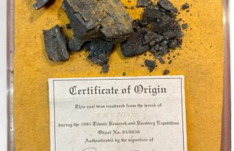 Coal from the Titanic on a card with a certificate of authenticity.