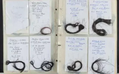 Racehorse hair collection sold at auction for £38,000.