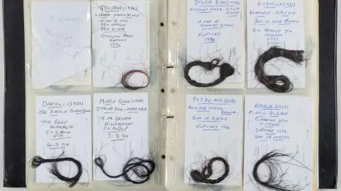 Racehorse hair collection sold at auction for £38,000.