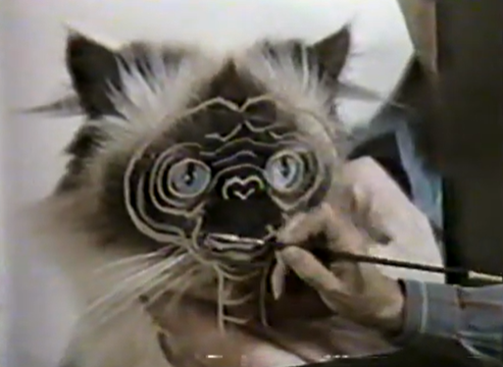 Cat being used during the design of E.T the Extraterrestrial 