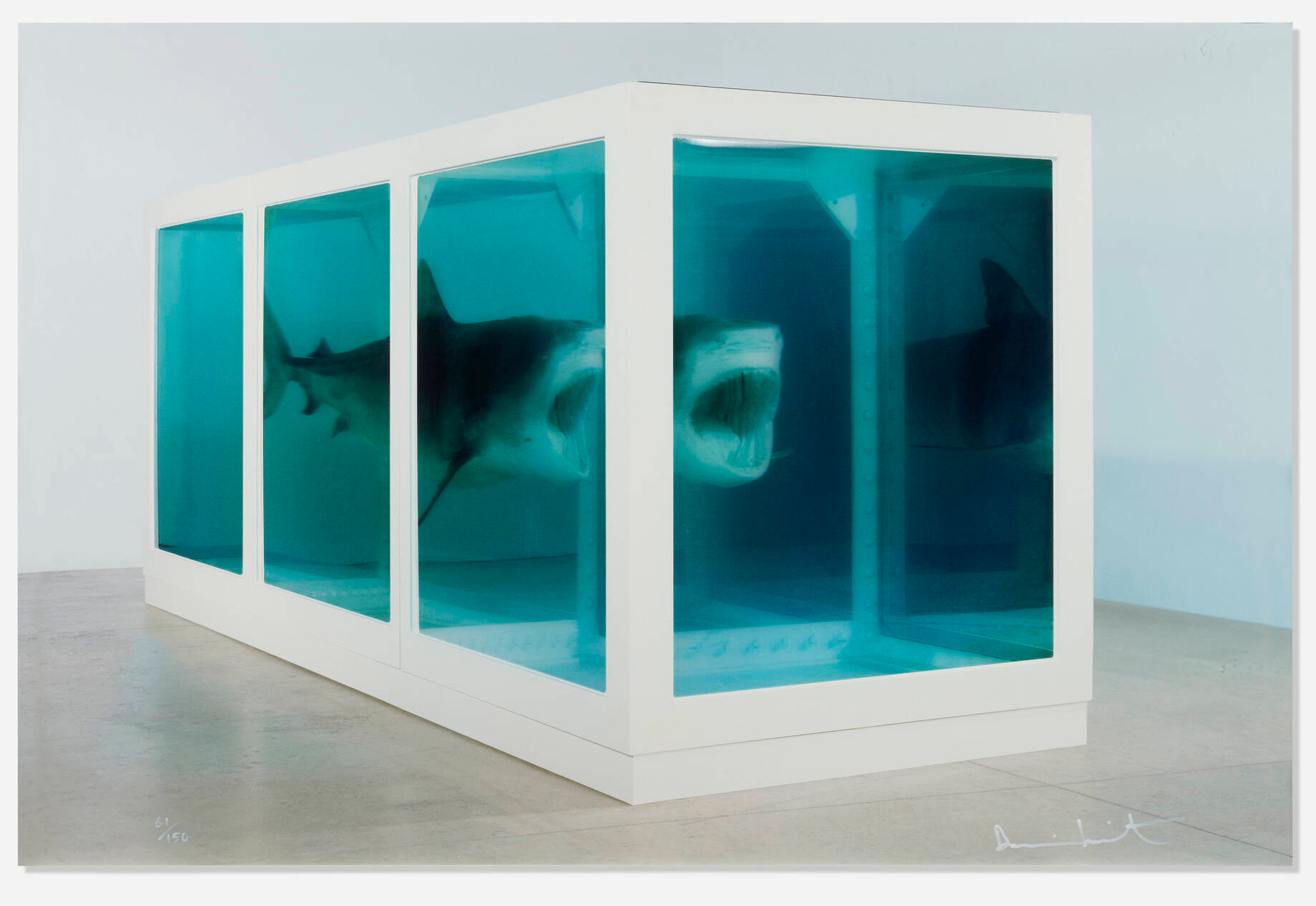 Death Denied, 2008, a later Hirst shark-in-formaldehyde work