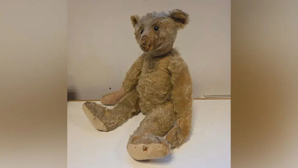 Early 1908 Steiff Edwardian wood-straw-stuffed teddy bear