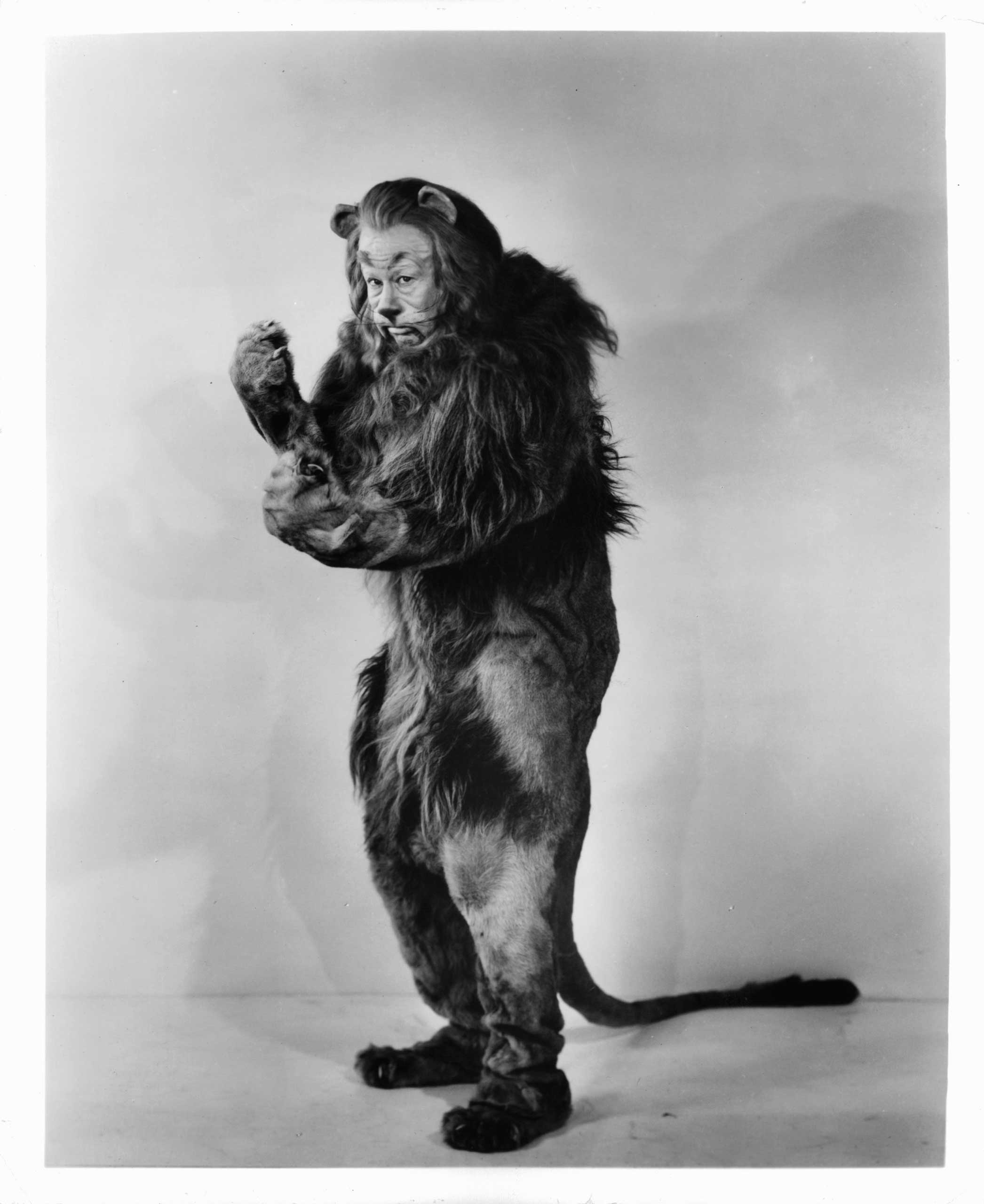 Cowardly Lion, a character from the iconic film The Wizard of Oz.