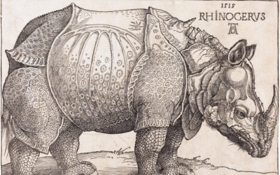 Albrecht Dürer etchings: a beginner's guide to the father of printmaking