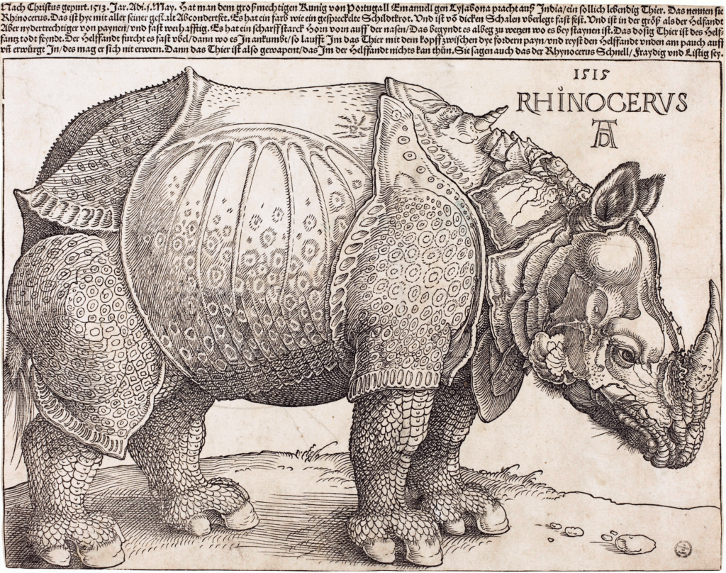 Albrecht Dürer etchings: a beginner's guide to the father of printmaking