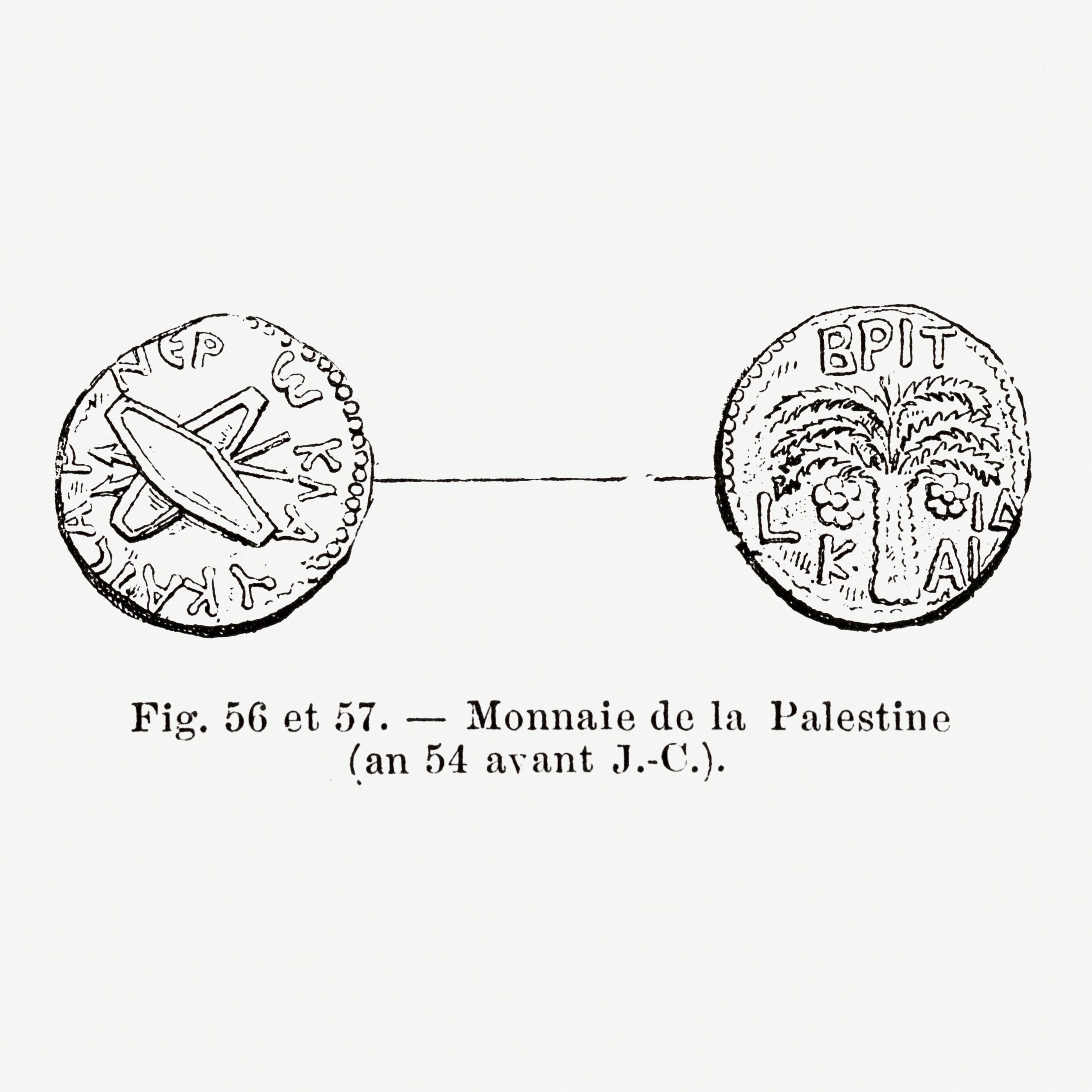 Palestine Vintage coin illustration. Vintage illustration of an ancient bronze prutah, a small denomination coin issued in Judaea by Antonius Felix, the Roman Procurator of the province under Emperor Claudius.