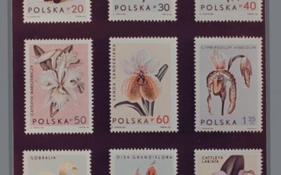 Selling a stamp collection: what to know before you sell