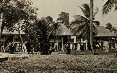 Why the British Guiana 1c magenta is worth millions