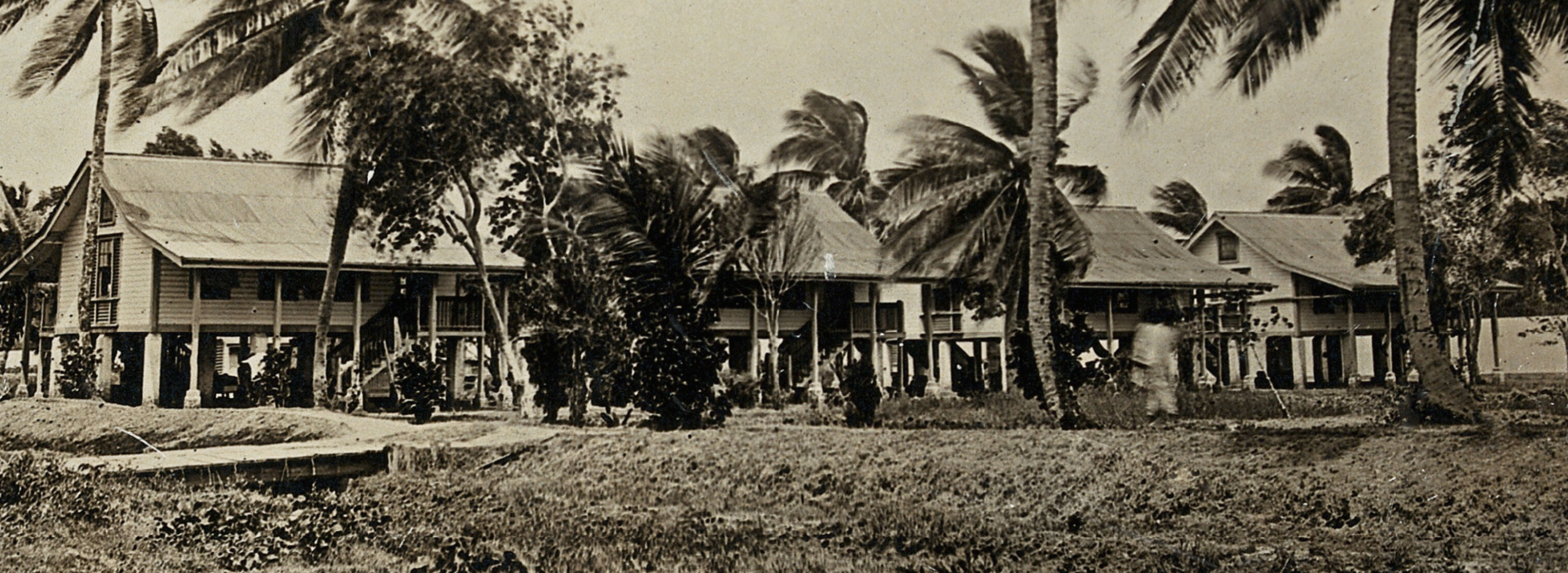 Why the British Guiana 1c magenta is worth millions