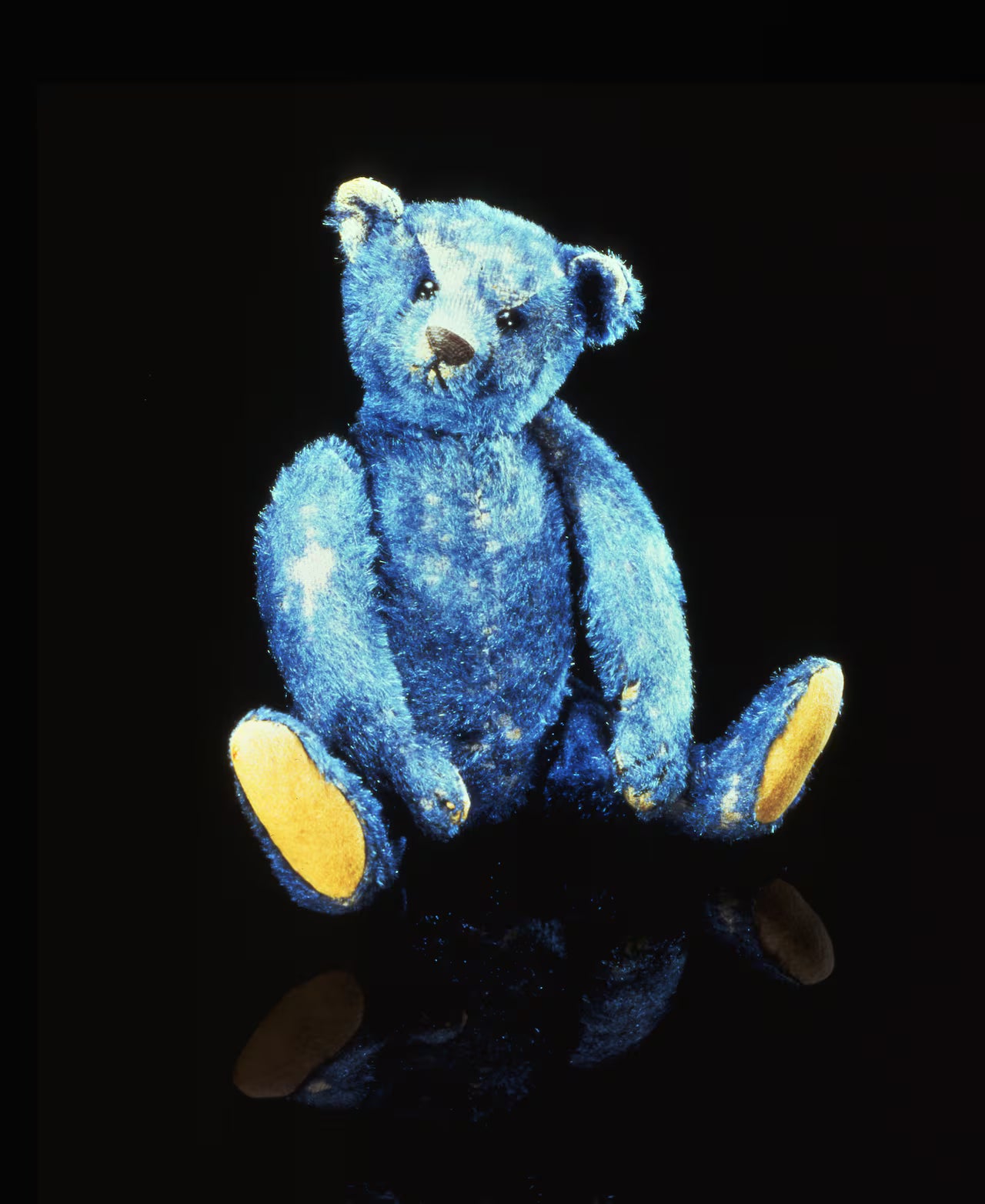 Steiff Elliot blue mohair teddy bear from 1908