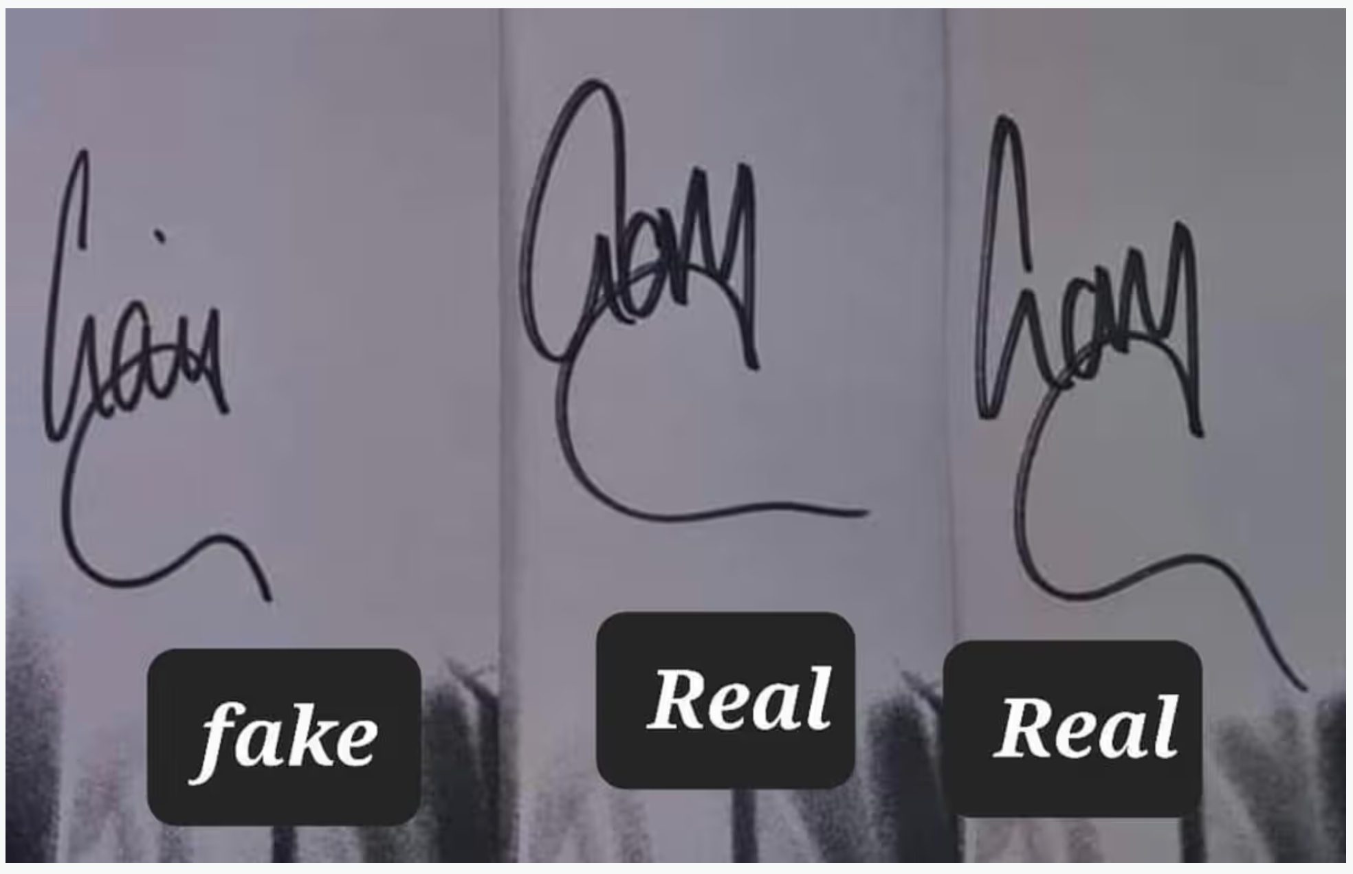 Example of autographed band memorabilia used for signature verification