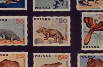 The magic of collecting stamps