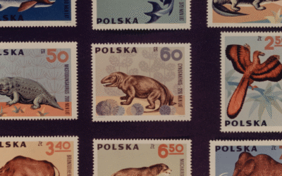 The magic of collecting stamps
