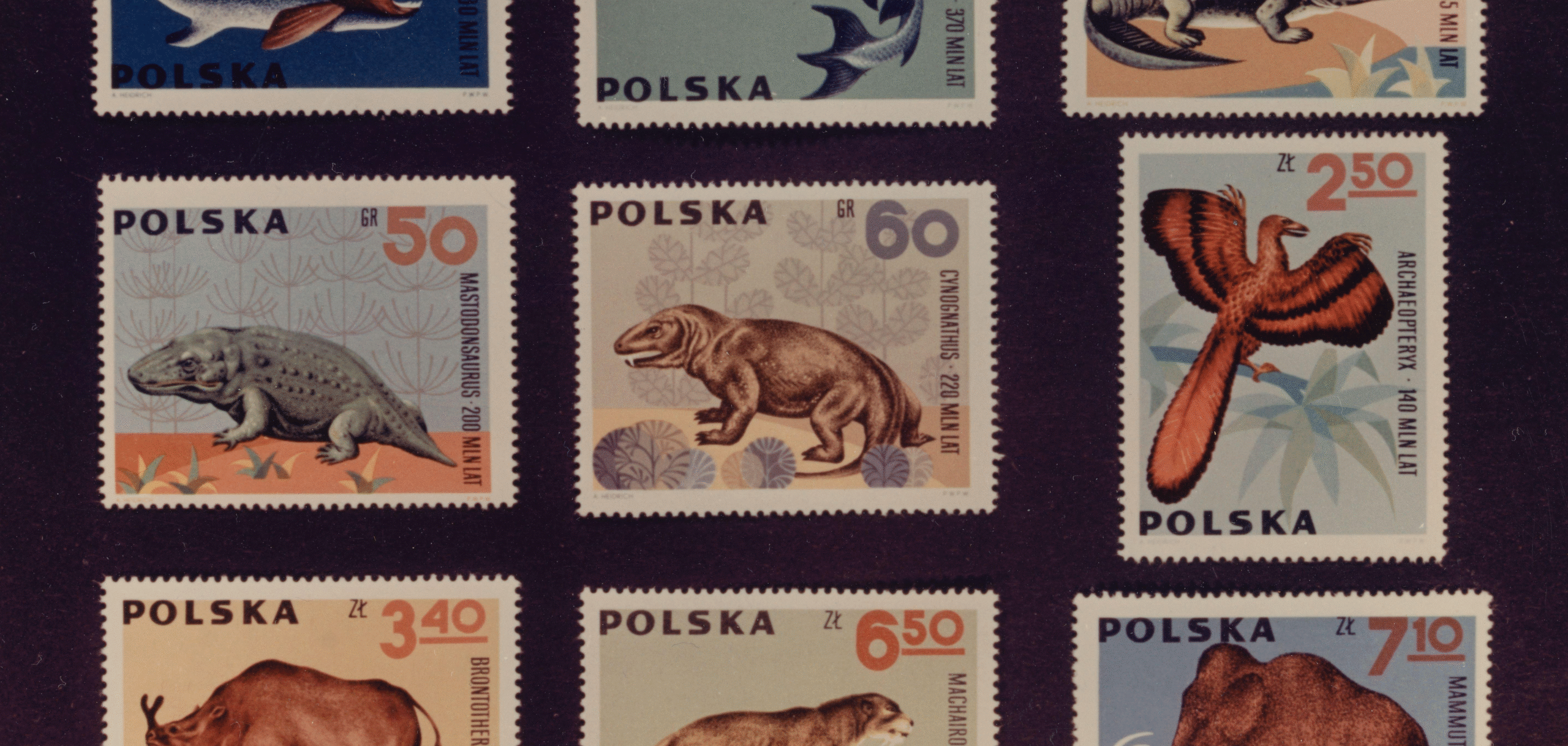 The magic of collecting stamps